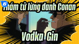 Thám tử lừng danh Conan|[Những phản diện đáng yêu và hấp dẫn---Vodka&Gin]_6