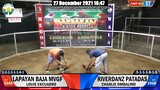 NINTH FIGHT - 2021 BAKBAKAN 9 STAG DERBY FINALS