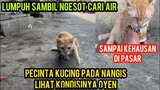 Astagfirullah Bikin Nangis Kucing Oyen Lumpuh Minta Tolong Kehausan Di Pasar Lihat Endingnya..!