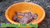 Lâm Vlog - Món Ăn Kinh Dị Thịt Bò Nướng Kiến Vàng | AMAZING FOOD
