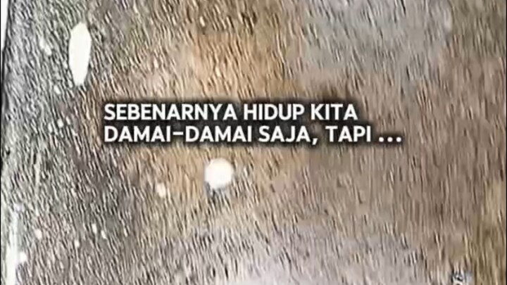 🤭🤭🤭 ibu ,,ibu ,,ibu,,