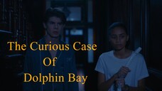 The Curious Case Of Dolphin Bay 2022