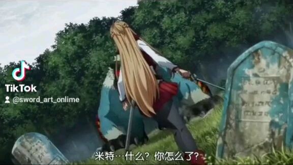 kirito và asuna
