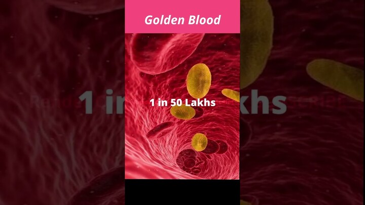 Golden Blood | Rhnull |  interesting facts | amazing facts | unknown facts | render q #shorts