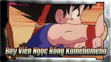 Quy Lão Tiên Sinh Lần Đầu Thực Hiện Chiêu Kamehameha - Goku Học Thuộc Ngay Lập Tức!