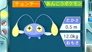 オーキド博士のポケモン講座(チョンチー)