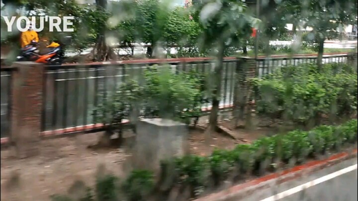 bus!