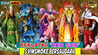 TERKUAK SUDAH !!! KEKUATAN "RAID SUID" Keluarga VINSMOKE (REIJU,ICHIJI,NIJI,SANJI,YONJI)