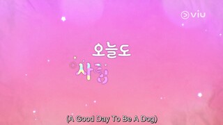 EP 08 ENG SUB A Good Day to Be a Dog