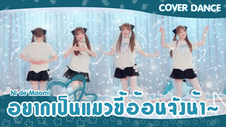 【Cover Dance】Ni de Maomi อยากเป็นแมวน้อยในอ้อมกอดเธอ