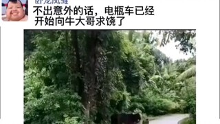 电瓶车:老子TM犯天条了?这么倒霉!