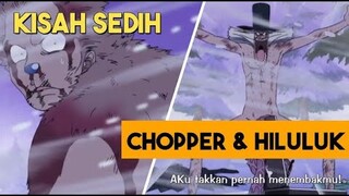 Hiluluk, Dokter Gadungan Berhati Baik | Alur Cerita One Piece Episode 85