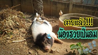 น้องรวยเป็นลมแล้ว!!!...😱