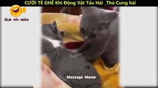 Cười té ghế khi động vật tấu hài_ phần 4