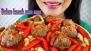 ASMR BAKSO LEMAK SUM SUM KUAH GURIH SANGAT PEDAS 🔥 | ASMR MUKBANG INDONESIA