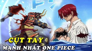 Top 7 người cụt tay mạnh nhất trong One Piece  ( One Piece 994+ )