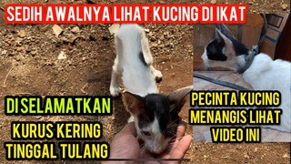 Astagfirullah Kucing Ini Menangis Di Ikat Mau Di Kembalikan Di Jalanan Lihat Endingnya..!
