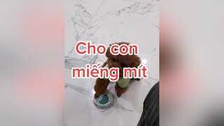 Nguyên một trái mít mà ba cho con có tí tẹo à cô chú 😭 HatDe TeamHatDe Mas Dog dogsoftiktok ThuCung 멍멍이 강아지 DogTraining doglover