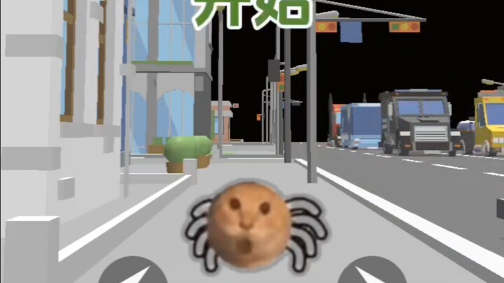耄耋过马路