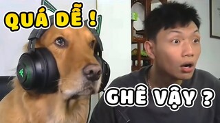 Khi các BOSS làm GAME THỦ 🤣 | Yêu Lu