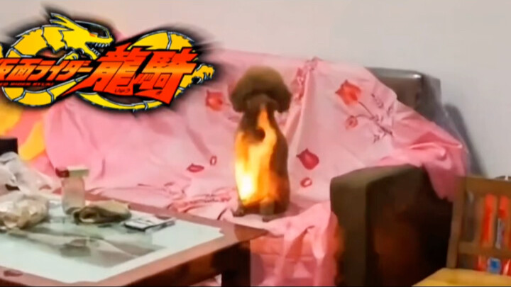 生活中的假面骑士