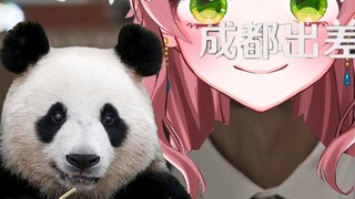 Pembantu loli Jepang membaca "Perjalanan Bisnis Pengiriman Perusahaan ke Chengdu Perhatian Manual 1.