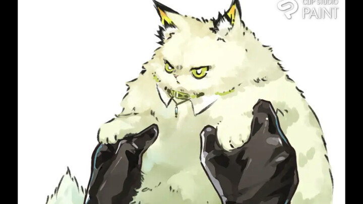 【绘画过程】凯尔希喵喵🐈【明日方舟】