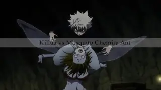 Killua VS Mosquito Chimera Ant (Hunter X Hunter) [AMV]