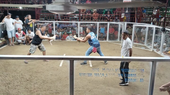 2nd fight labas bituka labas pitaka champion ng 2cocks nadsaag San Juan launion