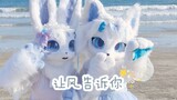[fursuit dance] The story of Furui and the sea, let the wind tell you