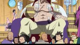 All the three-color domineering owners in One Piece, it turns out there are these 16 people! Which o