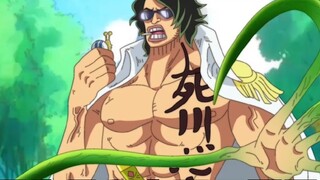 One Piece: Green Bull's real name is Shimotsuki Aramaki? He came to Wano Country to be a certain Sou