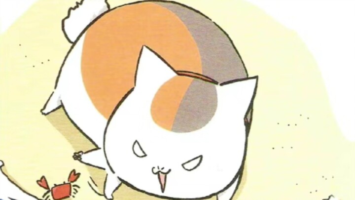 San San's Strange Behaviors as a Cat (Season 2)