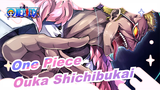 [One Piece] Ouka Shichibukai!!!
