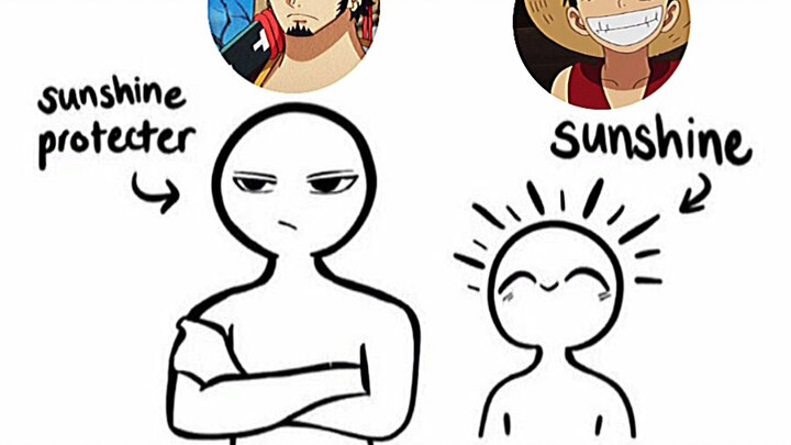 sunshine protector