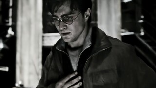 【HP】“This children’s book explains it all”