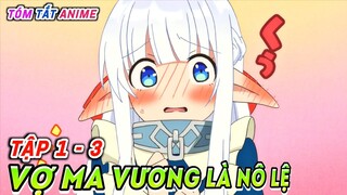 Đại pháp sư mua nô lệ về làm vợ (Tập 1-3) - Maou no ore ga dorei elf wo yome  | Tóm Tắt Anime