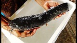 Thai local food crispy eel tail catfish with chili paste
