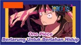 [One Piece] Kita Tidak Akan Mati; Kita Bertarung Untuk Bertahan Hidup