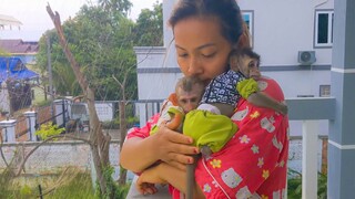 So Poor!! Little adorable Totto & Yaya so afraid of the raining they strongly hug Mom to get warmth