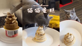 都来学习制作猫猫蛋糕吧 🎂😸