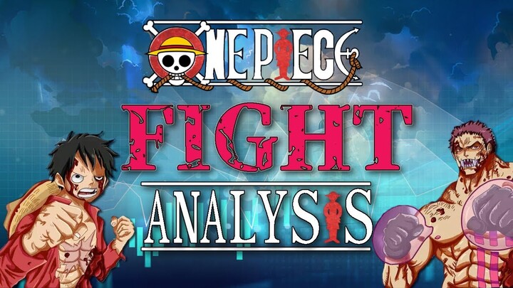How Good are One Piece Fights? Complete Analysis