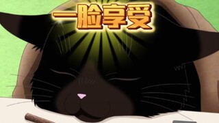 能干的猫今天也忧郁6猫咪坐在电热桌里一脸享受