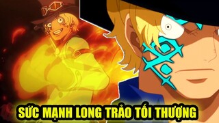 Sabo mạnh ngang tứ hoàng? Quá khứ tăm tối ,Người anh của Luffy, Tổng Tham mưu trưởng quân cách mạng!