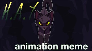 H.A.Y animation meme REMAKE | warrior cats Hollyleaf