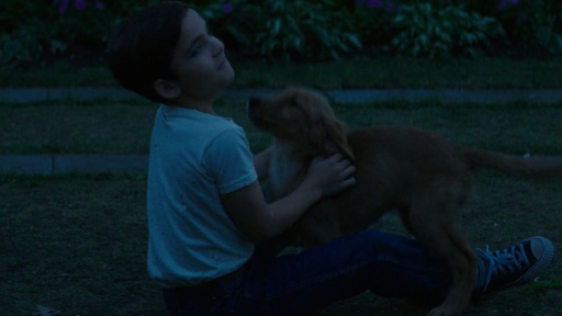 A.Dog's.Purpose.2017.1080p.BluRay.x264-[YTS.AG]