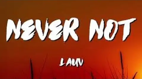 Never Not Lauv Lyrics