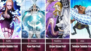 One Piece All Paramecia Devil Fruit Users ( Part - 1 )