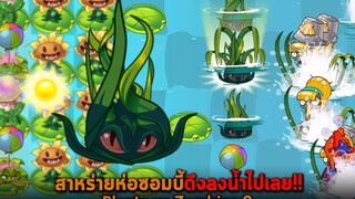 สาหร่ายห่อซอมบี้ดึงลงน้ำไปเลย Plants vs Zombies 2