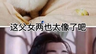 Xiao Zhan, Nut Girl looks so much like you